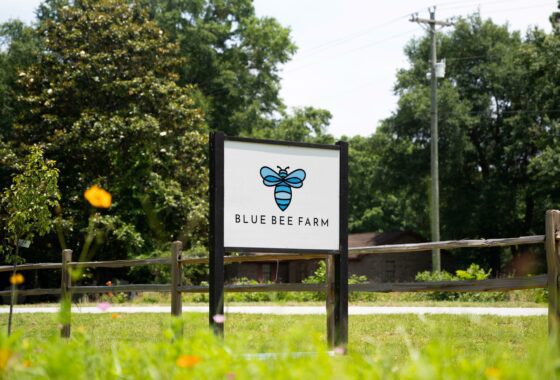 Blue Bee Farm sold by oyster point